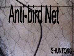 Anti-bird net 2