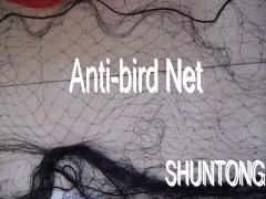 Anti-bird net 3