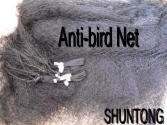 Anti-bird net 4