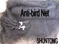 Anti-bird net 4