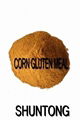 (Feed Additives)Corn Gluten Meal-Protein 60 min 2