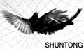 China bird netting products manufacturer