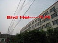 China bird netting products