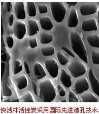 特種高比表面積活性炭