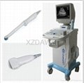 DW3102A ultrasound scanner 2