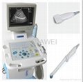 DW3102A ultrasound scanner 4