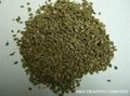Aniseeds & Caraway seeds