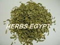 Fenugreek seeds & Fennel seeds & Flax seeds 2