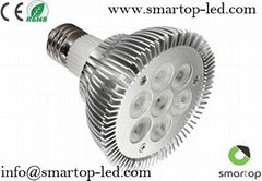 PAR30 LED Spotlight