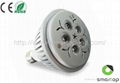 PAR30 LED Spotlight  4