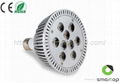 PAR30 LED Spotlight  3