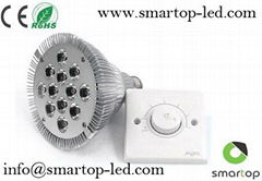 Dimmable PAR38 E27 LED Light with 9/12