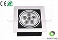 Energy-saving LED Grid Light with 6/12