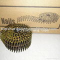 sell Pallet coil nails 1