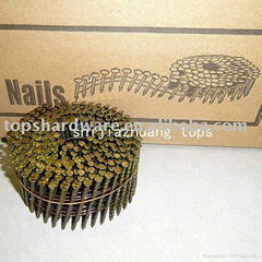 sell Pallet coil nails