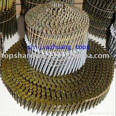 Sell ring collated coil nails