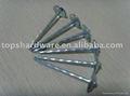 sell umbrella head roofing nails 1