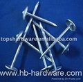 Sell twisted shank roofing nails 2