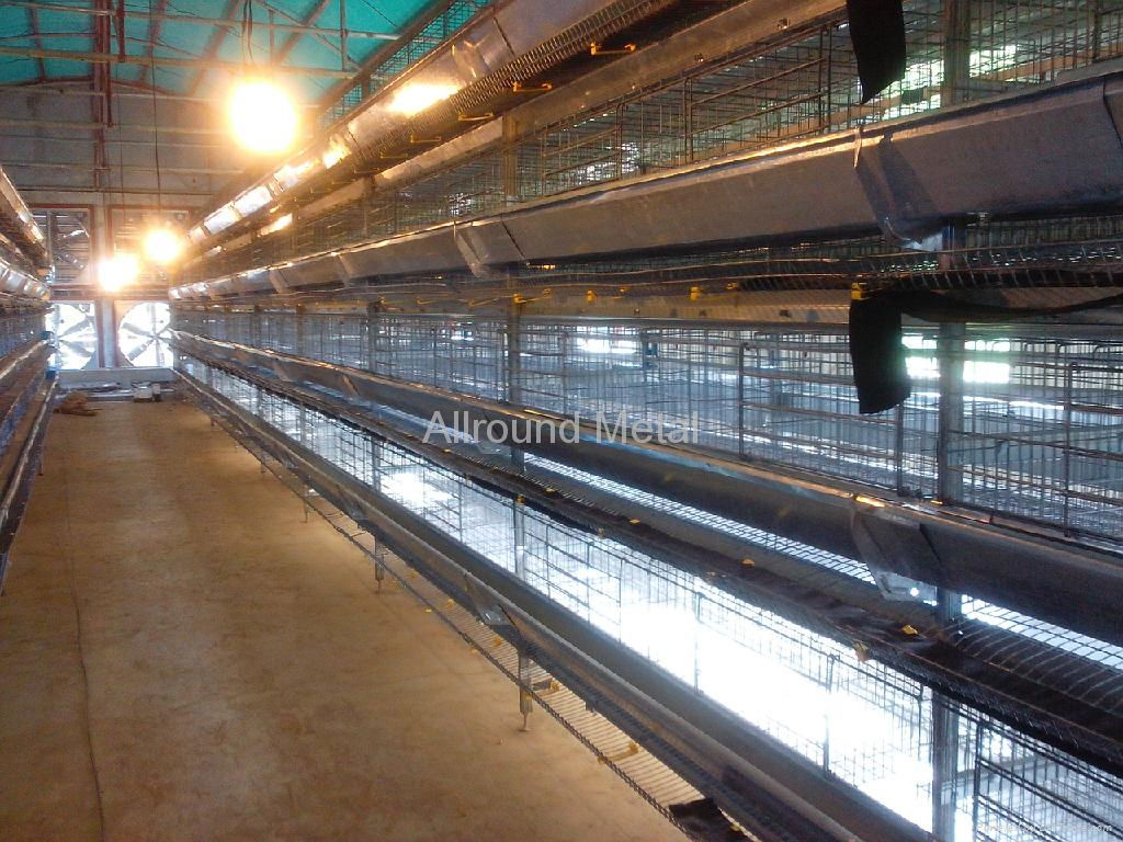 Auto poultry farm equipment 3