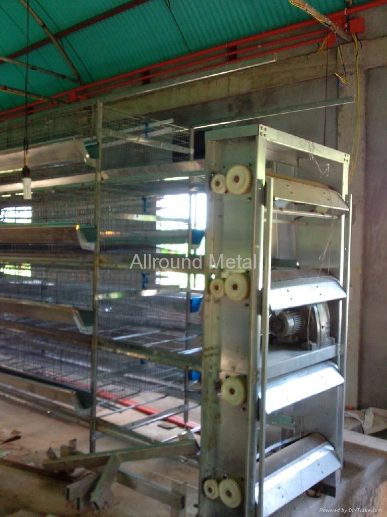 Auto poultry farm equipment 4