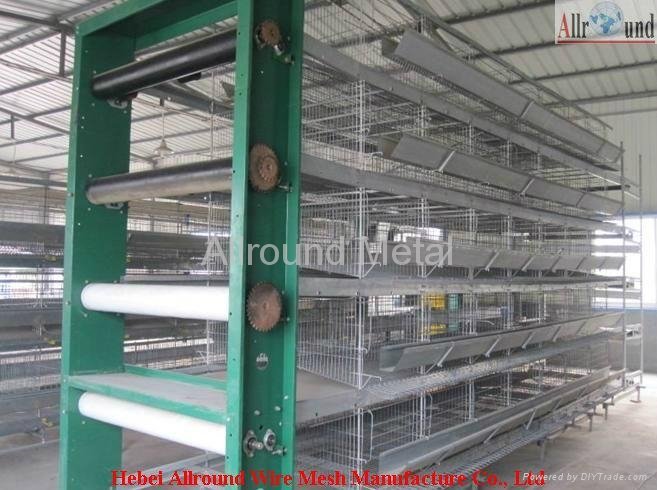 Automatic poultry farming equipment