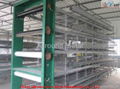 Automatic poultry farming equipment 1