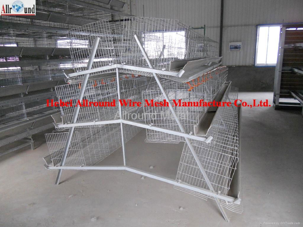 Automatic poultry farming equipment 2