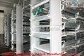 Automatic poultry farming equipment 3
