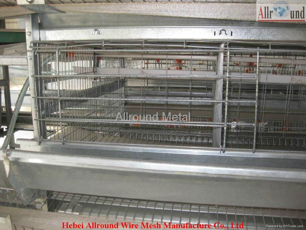 Layer chicken battery cage 2