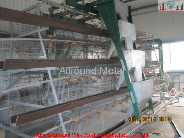 Layer chicken battery cage 3