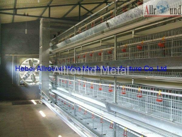 Layer chicken battery cage 4