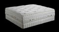 Apolo Mattress 2