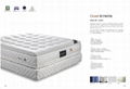 Grant Mattress 2