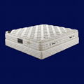 Wilson Mattress