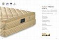 Jackson Mattress 2