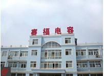 Anhui Safe Electronics Co.,Ltd. 