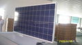 Poly Solar Panel 