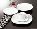 white porcelain dinner plate