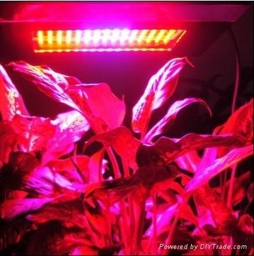 LED植物补光灯  2