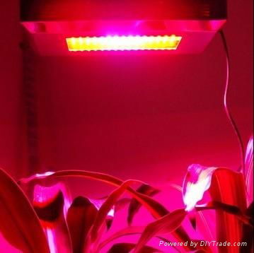 LED植物补光灯  4