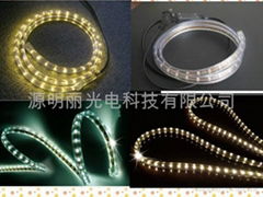 flexible LED strip