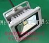 10w led floodlight 1