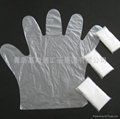 Disposable pe glove 1