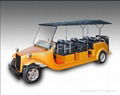 electric go cart 1