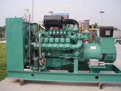 Natural Gas Generator Set