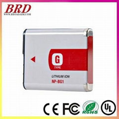 1200mAh digital camera battery for son. FG1/BG1 DSC-W200 T100 W80 W90 H9