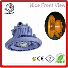 LED Explosion proof light