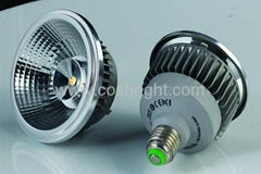 LED PAR30 light