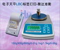 Electronic balance LBC 2