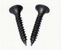 Drywall screws